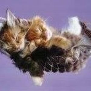 Meet your Posher, Beth